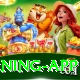 Dealer Foxy - Elite Earning App