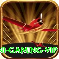 dhoni - Gaming VIP